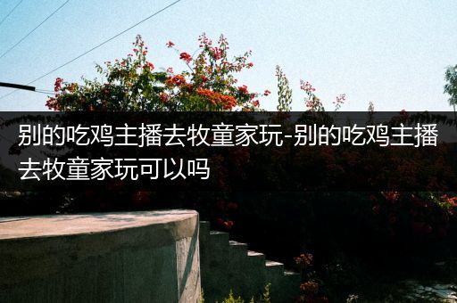 别的吃鸡主播去牧童家玩-别的吃鸡主播去牧童家玩可以吗