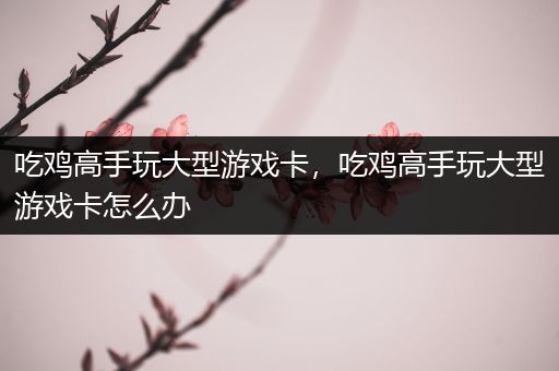 吃鸡高手玩大型游戏卡，吃鸡高手玩大型游戏卡怎么办