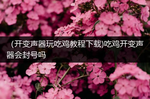 （开变声器玩吃鸡教程下载)吃鸡开变声器会封号吗