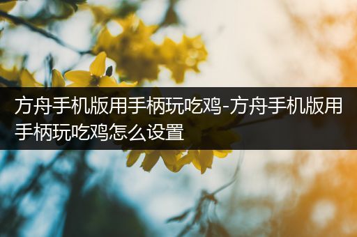 方舟手机版用手柄玩吃鸡-方舟手机版用手柄玩吃鸡怎么设置