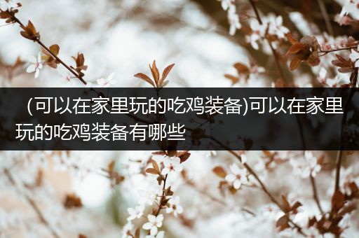（可以在家里玩的吃鸡装备)可以在家里玩的吃鸡装备有哪些
