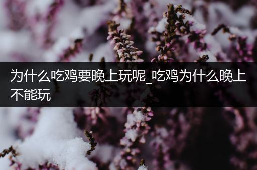 为什么吃鸡要晚上玩呢_吃鸡为什么晚上不能玩