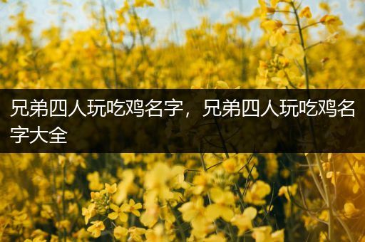 兄弟四人玩吃鸡名字，兄弟四人玩吃鸡名字大全