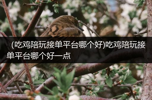 （吃鸡陪玩接单平台哪个好)吃鸡陪玩接单平台哪个好一点