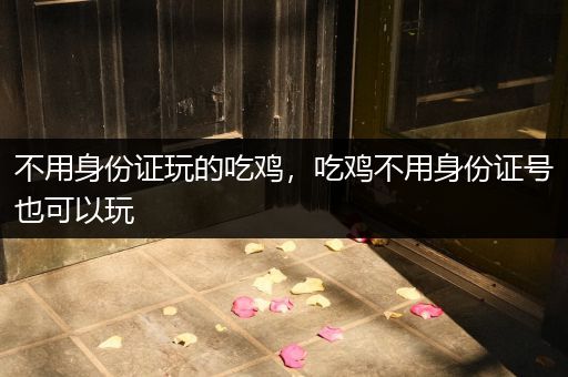 不用身份证玩的吃鸡，吃鸡不用身份证号也可以玩