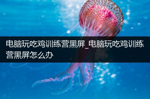 电脑玩吃鸡训练营黑屏_电脑玩吃鸡训练营黑屏怎么办