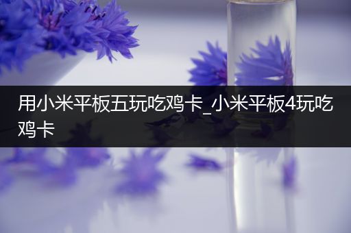 用小米平板五玩吃鸡卡_小米平板4玩吃鸡卡