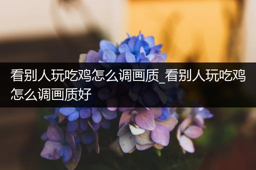 看别人玩吃鸡怎么调画质_看别人玩吃鸡怎么调画质好