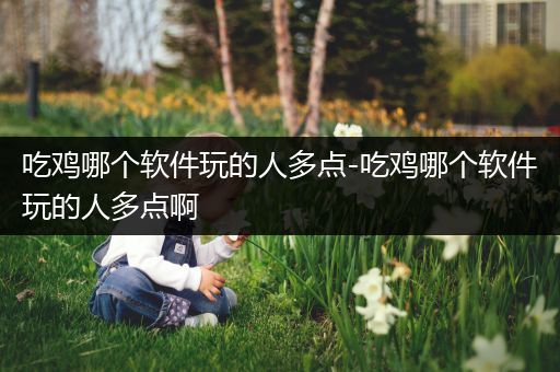 吃鸡哪个软件玩的人多点-吃鸡哪个软件玩的人多点啊