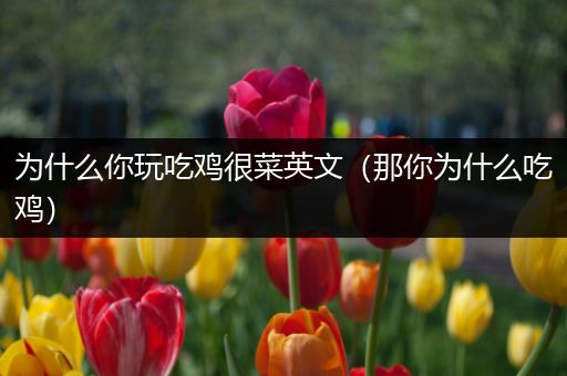 为什么你玩吃鸡很菜英文（那你为什么吃鸡）