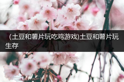 （土豆和薯片玩吃鸡游戏)土豆和薯片玩生存