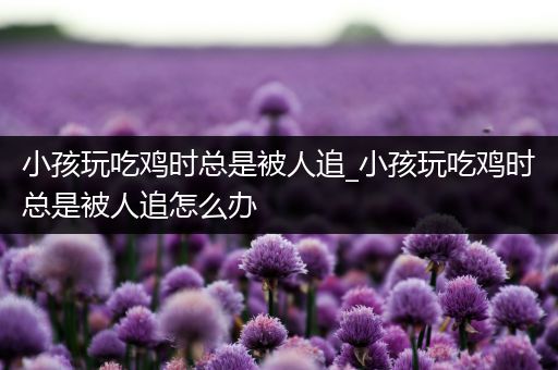 小孩玩吃鸡时总是被人追_小孩玩吃鸡时总是被人追怎么办