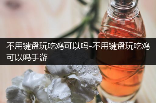 不用键盘玩吃鸡可以吗-不用键盘玩吃鸡可以吗手游