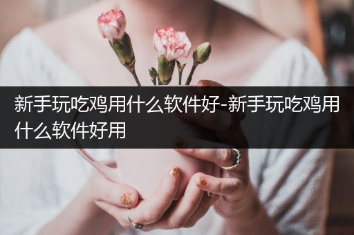 新手玩吃鸡用什么软件好-新手玩吃鸡用什么软件好用