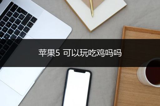 苹果5 可以玩吃鸡吗吗