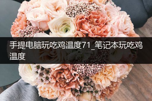 手提电脑玩吃鸡温度71_笔记本玩吃鸡温度