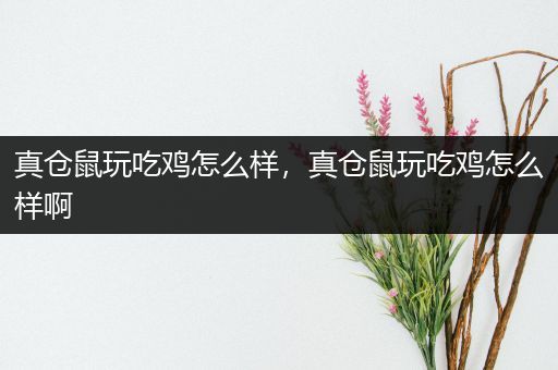 真仓鼠玩吃鸡怎么样，真仓鼠玩吃鸡怎么样啊