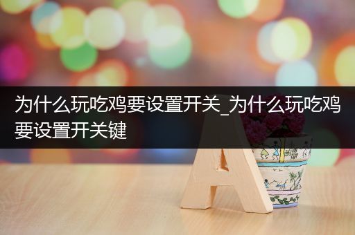 为什么玩吃鸡要设置开关_为什么玩吃鸡要设置开关键