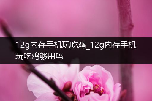 12g内存手机玩吃鸡_12g内存手机玩吃鸡够用吗