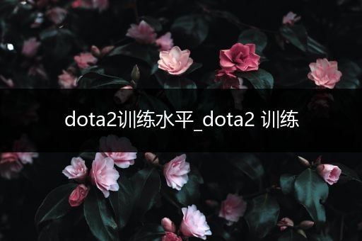dota2训练水平_dota2 训练