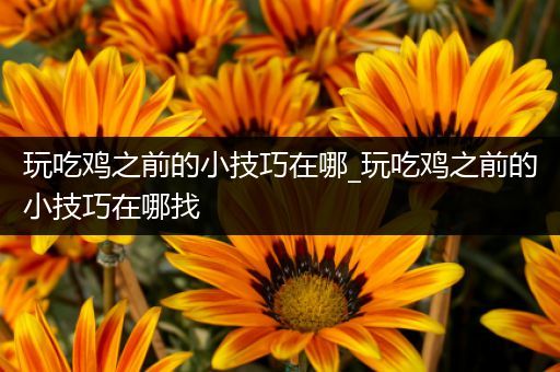 玩吃鸡之前的小技巧在哪_玩吃鸡之前的小技巧在哪找