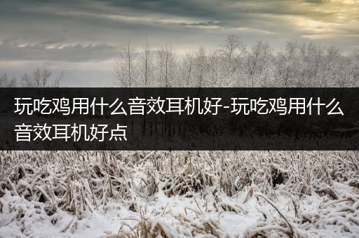 玩吃鸡用什么音效耳机好-玩吃鸡用什么音效耳机好点