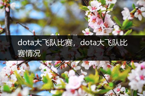 dota大飞队比赛，dota大飞队比赛情况