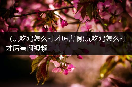 （玩吃鸡怎么打才厉害啊)玩吃鸡怎么打才厉害啊视频