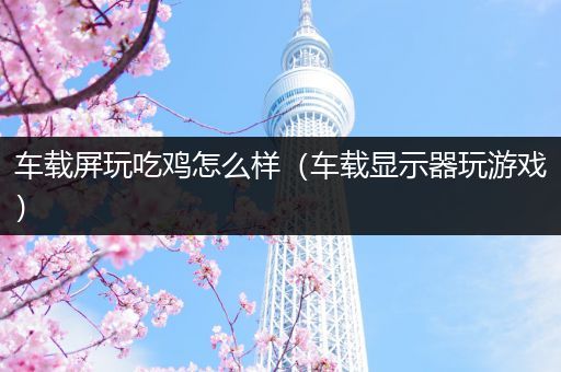 车载屏玩吃鸡怎么样（车载显示器玩游戏）