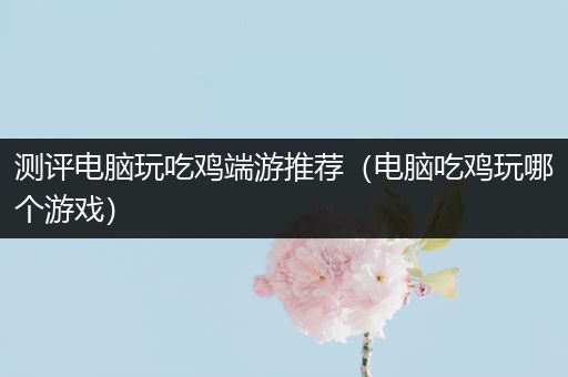 测评电脑玩吃鸡端游推荐（电脑吃鸡玩哪个游戏）