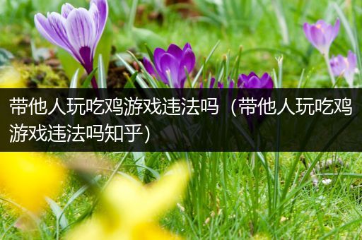 带他人玩吃鸡游戏违法吗（带他人玩吃鸡游戏违法吗知乎）