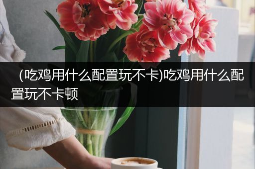 （吃鸡用什么配置玩不卡)吃鸡用什么配置玩不卡顿