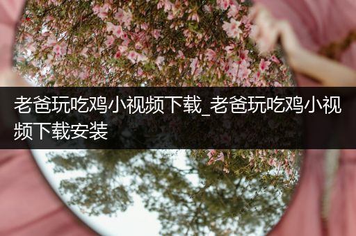 老爸玩吃鸡小视频下载_老爸玩吃鸡小视频下载安装