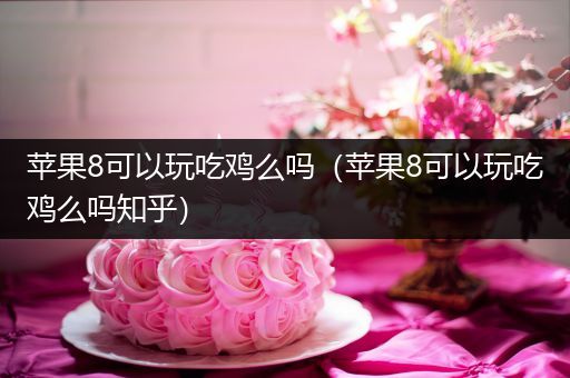 苹果8可以玩吃鸡么吗（苹果8可以玩吃鸡么吗知乎）