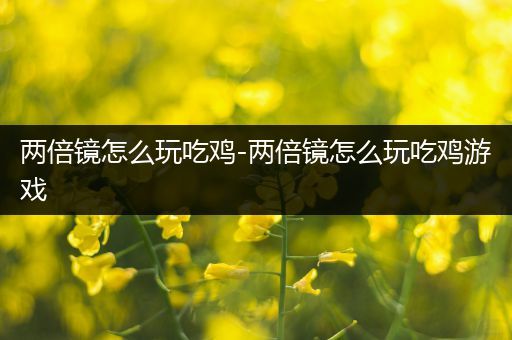 两倍镜怎么玩吃鸡-两倍镜怎么玩吃鸡游戏