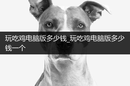 玩吃鸡电脑版多少钱_玩吃鸡电脑版多少钱一个