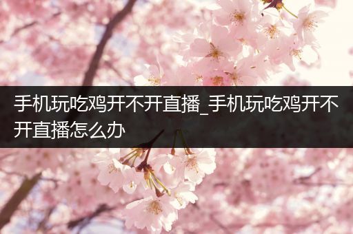 手机玩吃鸡开不开直播_手机玩吃鸡开不开直播怎么办