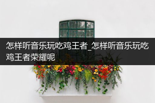 怎样听音乐玩吃鸡王者_怎样听音乐玩吃鸡王者荣耀呢