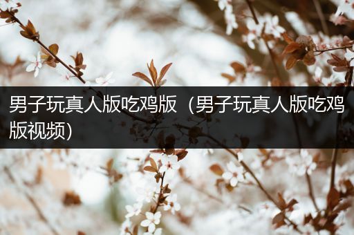 男子玩真人版吃鸡版（男子玩真人版吃鸡版视频）