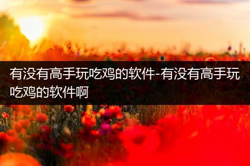 有没有高手玩吃鸡的软件-有没有高手玩吃鸡的软件啊