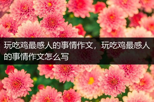 玩吃鸡最感人的事情作文，玩吃鸡最感人的事情作文怎么写