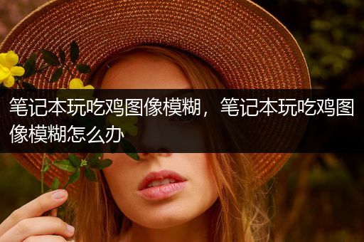 笔记本玩吃鸡图像模糊，笔记本玩吃鸡图像模糊怎么办