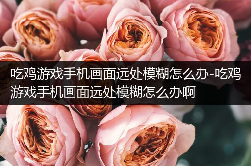 吃鸡游戏手机画面远处模糊怎么办-吃鸡游戏手机画面远处模糊怎么办啊