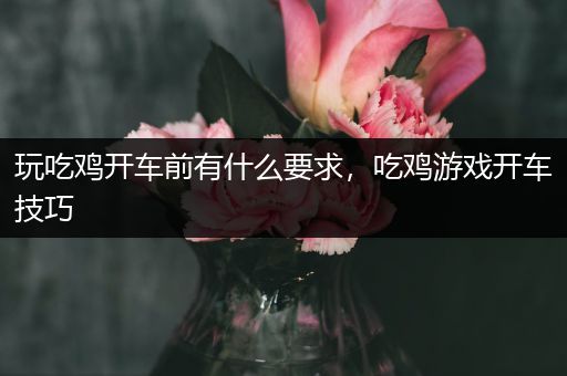 玩吃鸡开车前有什么要求，吃鸡游戏开车技巧
