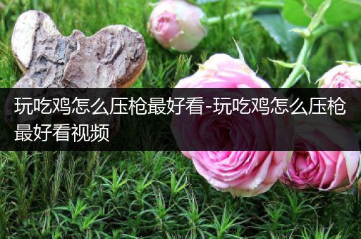 玩吃鸡怎么压枪最好看-玩吃鸡怎么压枪最好看视频