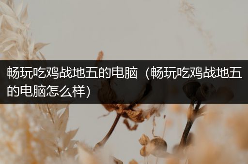 畅玩吃鸡战地五的电脑（畅玩吃鸡战地五的电脑怎么样）