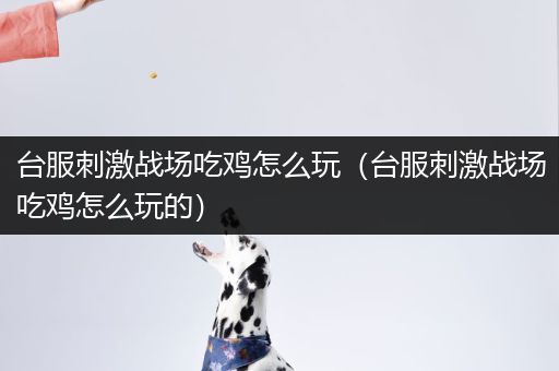台服刺激战场吃鸡怎么玩（台服刺激战场吃鸡怎么玩的）