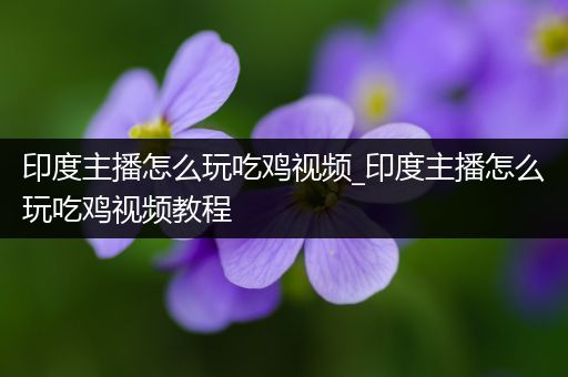 印度主播怎么玩吃鸡视频_印度主播怎么玩吃鸡视频教程