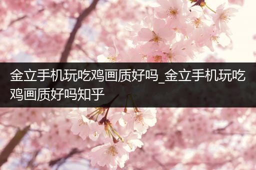 金立手机玩吃鸡画质好吗_金立手机玩吃鸡画质好吗知乎