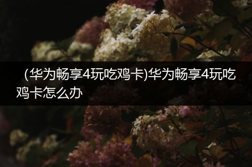 （华为畅享4玩吃鸡卡)华为畅享4玩吃鸡卡怎么办